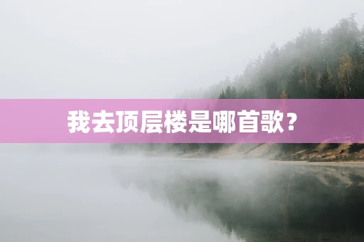 我去顶层楼是哪首歌？