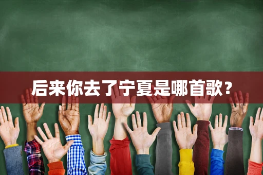 后来你去了宁夏是哪首歌？