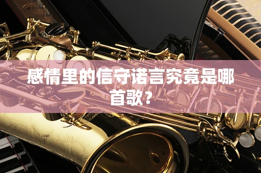 感情里的信守诺言究竟是哪首歌？