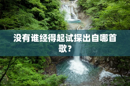 没有谁经得起试探出自哪首歌？