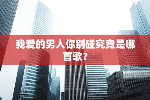 我爱的男人你别碰究竟是哪首歌？