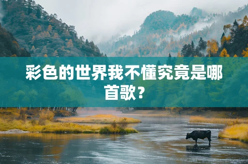彩色的世界我不懂究竟是哪首歌？