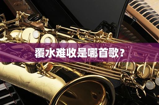 覆水难收是哪首歌？