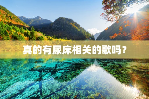 真的有尿床相关的歌吗？