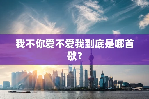 我不你爱不爱我到底是哪首歌？