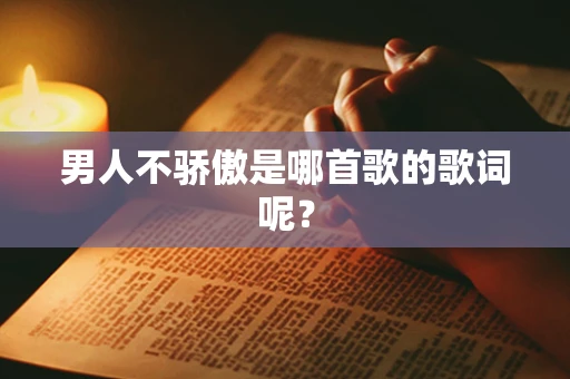男人不骄傲是哪首歌的歌词呢？