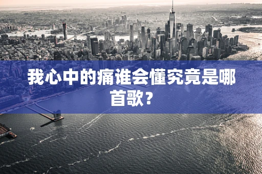 我心中的痛谁会懂究竟是哪首歌？