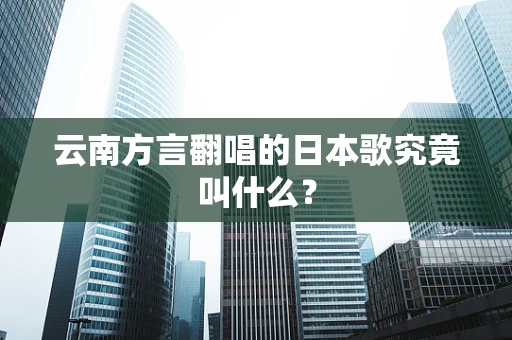 云南方言翻唱的日本歌究竟叫什么？