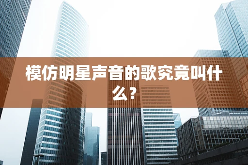 模仿明星声音的歌究竟叫什么？