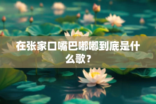 在张家口嘴巴嘟嘟到底是什么歌？