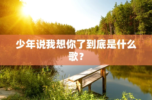 少年说我想你了到底是什么歌？