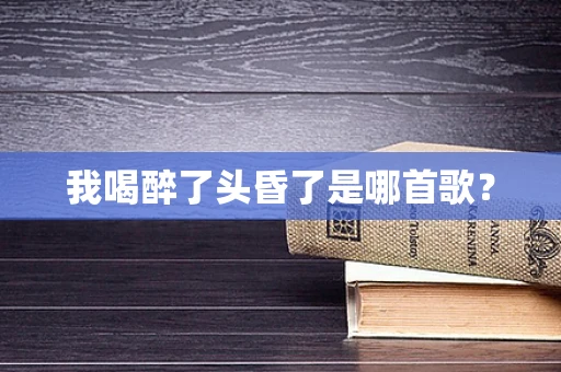 我喝醉了头昏了是哪首歌？