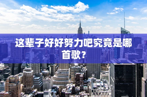 这辈子好好努力吧究竟是哪首歌？