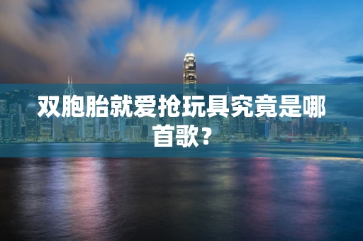 双胞胎就爱抢玩具究竟是哪首歌？