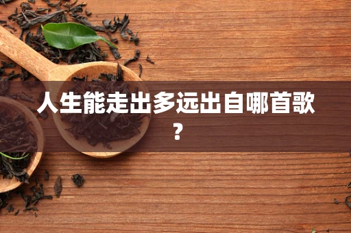 人生能走出多远出自哪首歌？