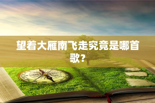 望着大雁南飞走究竟是哪首歌？