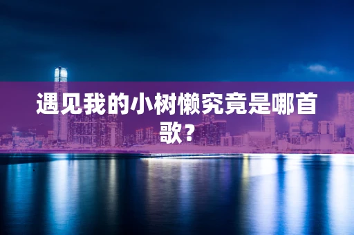 遇见我的小树懒究竟是哪首歌？