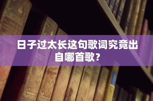 日子过太长这句歌词究竟出自哪首歌？