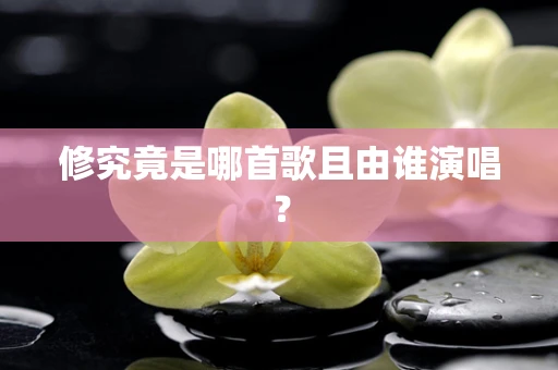 修究竟是哪首歌且由谁演唱？