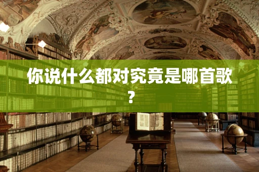 你说什么都对究竟是哪首歌？