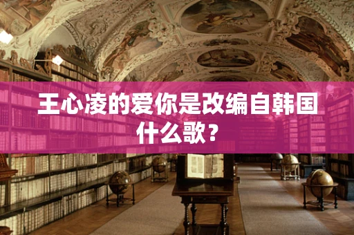 王心凌的爱你是改编自韩国什么歌？