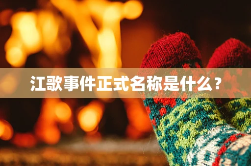 江歌事件正式名称是什么？