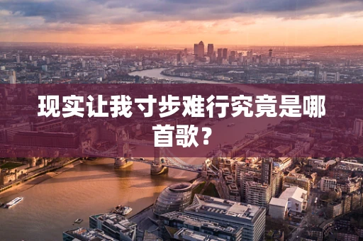 现实让我寸步难行究竟是哪首歌？