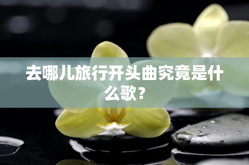 去哪儿旅行开头曲究竟是什么歌？