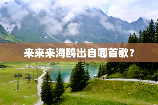 来来来海鸥出自哪首歌？