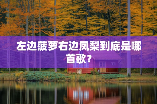 左边菠萝右边凤梨到底是哪首歌？
