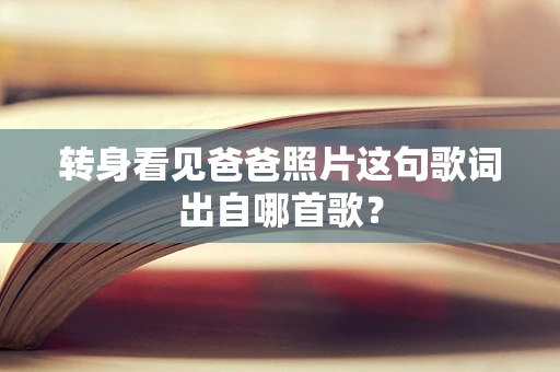 转身看见爸爸照片这句歌词出自哪首歌？