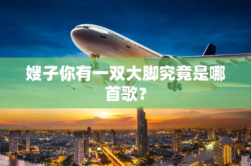 嫂子你有一双大脚究竟是哪首歌？
