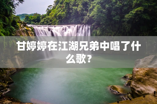 甘婷婷在江湖兄弟中唱了什么歌？