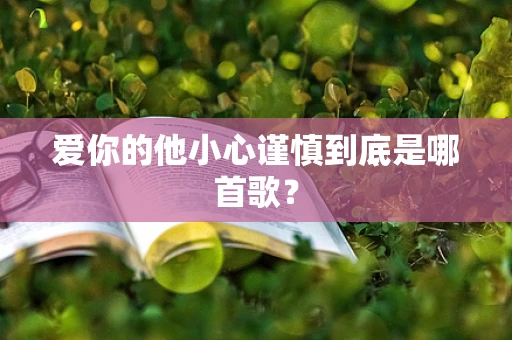 爱你的他小心谨慎到底是哪首歌？