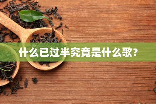 什么已过半究竟是什么歌？