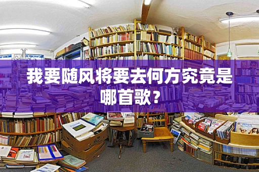 我要随风将要去何方究竟是哪首歌？