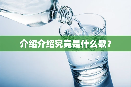 介绍介绍究竟是什么歌？