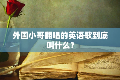 外国小哥翻唱的英语歌到底叫什么？