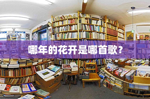 哪年的花开是哪首歌？