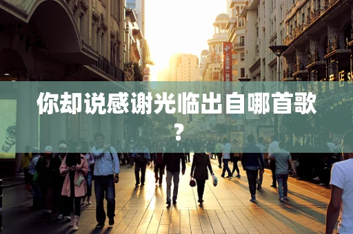 你却说感谢光临出自哪首歌？