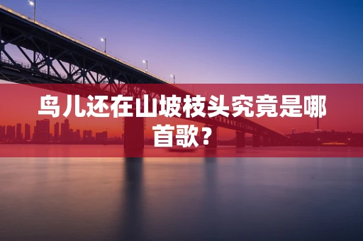 鸟儿还在山坡枝头究竟是哪首歌？