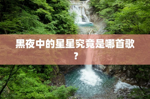 黑夜中的星星究竟是哪首歌？