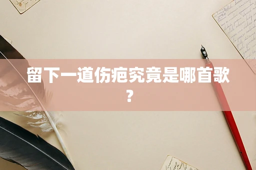 留下一道伤疤究竟是哪首歌？