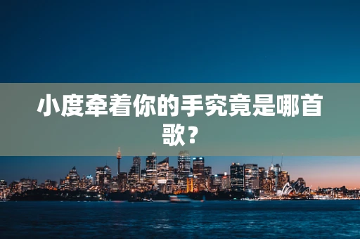小度牵着你的手究竟是哪首歌？