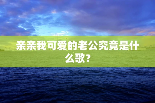 亲亲我可爱的老公究竟是什么歌？