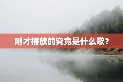 刚才播放的究竟是什么歌？