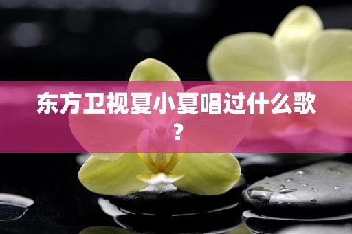 东方卫视夏小夏唱过什么歌？