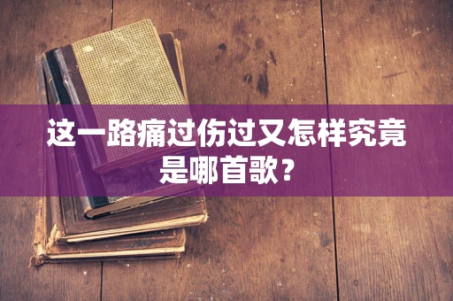 这一路痛过伤过又怎样究竟是哪首歌？