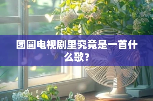团圆电视剧里究竟是一首什么歌？