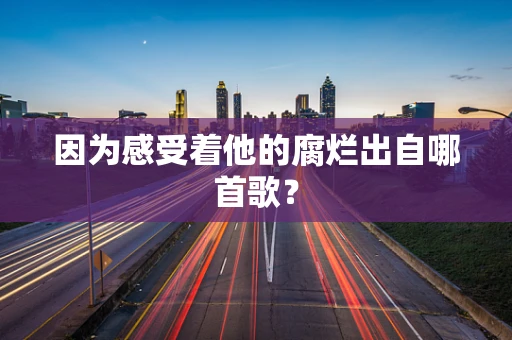 因为感受着他的腐烂出自哪首歌？
